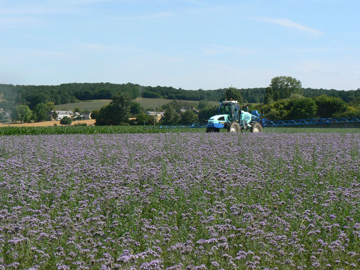 field-sprayer.pulverisateur-pleinchamp