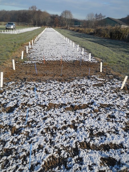 GLP soil sampling during winter time - prélèvement BPL de sol durant l'hiver