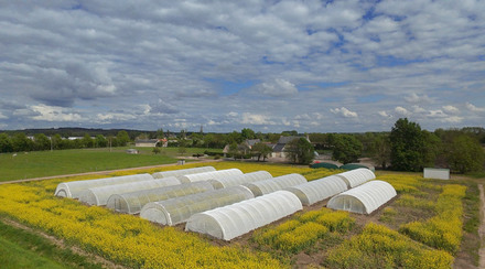 Tunnels sur OSR 2025